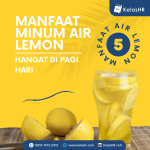 Manfaat Minum Air Putih Hangat Di Pagi Hari Ritual Sederhana Untuk Kesehatan Optimal