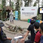 Menguak Harta Karun Alam Manfaat Belajar Mengenal Jenis Jenis Pohon Buah Di Hutan Untuk Tumbuh Kembang Anak Dan Pelestarian Lingkungan