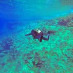 Menyelami Dunia Bawah Laut Panduan Lengkap Review Alat Selam Untuk Penyelam Pemula