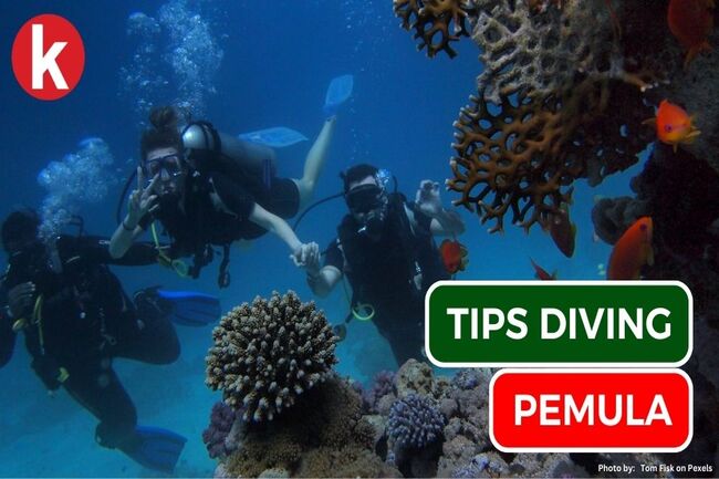 Menyelami Keajaiban Bawah Laut Tips Aman Snorkeling Di Laut Lepas Untuk Petualangan Tak Terlupakan