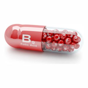 Pentingnya Asupan Protein Untuk Mencegah Sarkopenia Membangun Kekuatan Otot Di Usia Lanjut