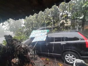 Mengapa Mesin Mobil Mati Saat Hujan Deras Ini Penyebab Teknis Dan Cara Mengatasinya