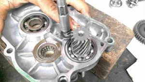 Panduan Lengkap Cara Mengetahui Bearing Gardan Motor Rusak Dan Langkah Mengatasinya